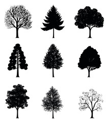 Fototapeta premium Graphic tree set featuring various tree types for nature-themed designs