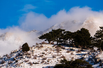 Thick fog obscures the peaks of a snowy mountain range with dark evergreen trees visible in the foreground under a hazy winter sky in the remote high altitude alpine wilderness area