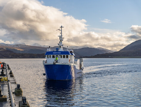 Well boat Aqua Star transporting live salmon from fish farm to harbour in Ullapool Highlands Scotland
