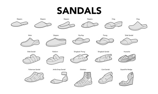 Sandal line single set with title. Slide slipper espadrille wedge, cork flatform, fisherman gladiator, slingback thong, ankle strap flip flop. Clean outline footwear guide vector, labeled style chart.