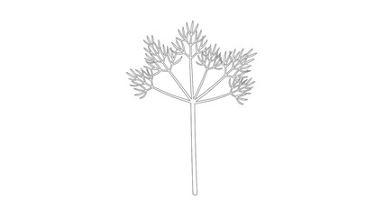 Fototapeta premium Delicate silhouette of a wildflower plant isolated on white background.
