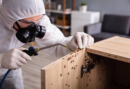 Pest control worker in protective gear applying pesticide to a severe termite infestation in wooden furniture.