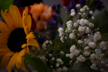 Wide variety of different types of floral images, 