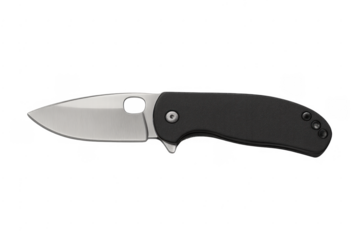 Folding pocket knife with stainless steel blade and black handle