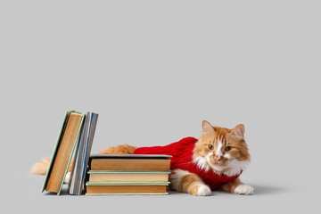Cute cat in sweater with books on light background