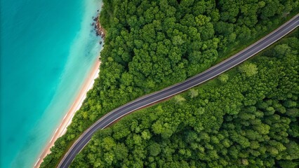 Aerial view of winding asphalt road through dense green forest beside coastal sea, scenic mountain roadway, lush tropical trees