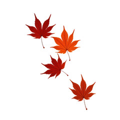 High Resolution Maple Leaves Collection on Transparent Background, Generative AI
