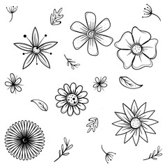 Desenho a m&atilde;o de flores e folhas