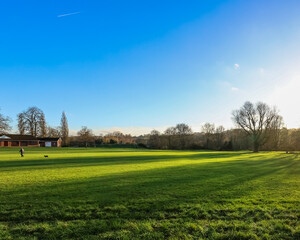 Person walking a dog on a bright sunny day across a wide green park field, showing long shadows and...