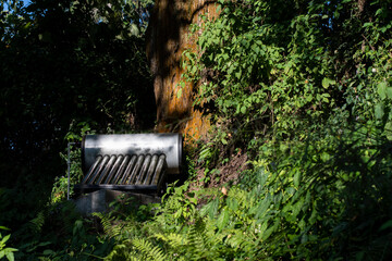 Solar Water Heater Installed Outdoors Amid Dense Green Foliage