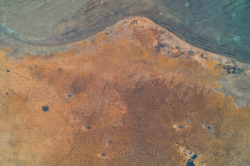 Natural border between green swamp and dry orange reeds, high contrast environmental texture, aerial top view drone shot