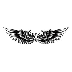 Obraz premium A detailed black and white illustration of a pair of spread eagle wings with a shield in the center.