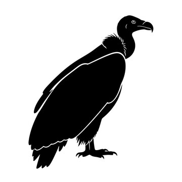 Black Vulture Silhouette Profile Standing Isolated White Background Vector Art