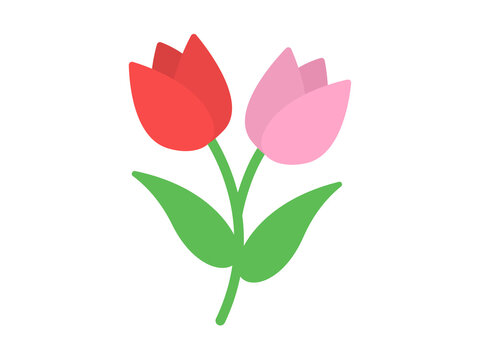 二輪のチューリップの花のアイコンのイラスト