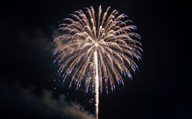 Golden fireworks burst in night sky, radiant sparks trailing upward against dark backdrop.