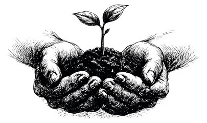 Hand drawn line art illustration of human hands depicting cradling a small plant sprout with soil for concepts of growth and sustainability