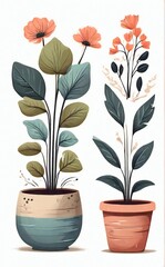 Two potted plants with delicate orange flowers and green leaves on a white background