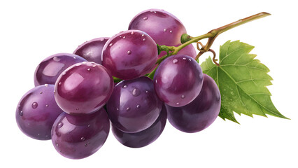 bunch of grapes isolated