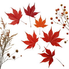 Falling Maple Leaves Isolated PNG, Autumn Nature Design Resource, Generative AI