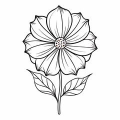 Fototapeta premium black and white flower