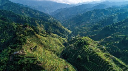 Green Rice Terraces Nestled in Lush Mountain Valley Aerial View
