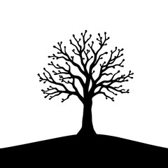 Fototapeta premium tree, silhouette, vector, blackshape, shadow, outline, flat, minimal, simple, icon, symbol, isolated, whitebackground, illustration, graphic, design, clipart, nature, forest, woodland, ecology, enviro