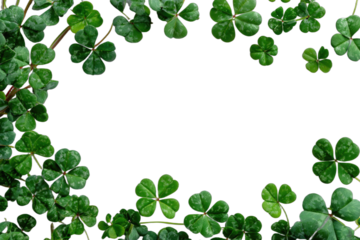 Lush green clover leaves forming a decorative border against a black background