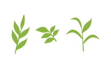 Hand Drawn Green Leaf Illustration for Eco and Nature Design