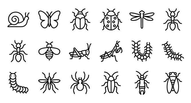 Set of black outline insect and bug icons in a simple minimalist line art style, featuring various creatures like a snail, butterfly, ant, spider, bee, and caterpillar pictograms