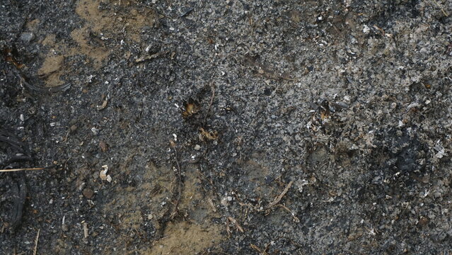 Full frame background texture of burnt ground with black charcoal and ash