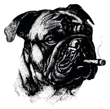poisonous gas found in cigarette smoke Frequently Asked Questions