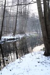 Lake reflection. Winter landscape during sunset. Trees covered with snow. Sun rays through the trees