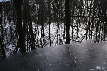 Lake reflection. Winter landscape during sunset. Trees covered with snow. Sun rays through the trees