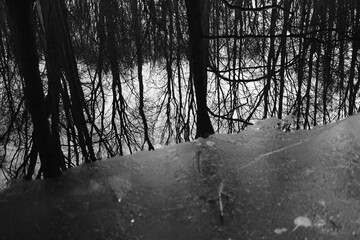 Lake reflection. Winter landscape during sunset. Trees covered with snow. Sun rays through the trees