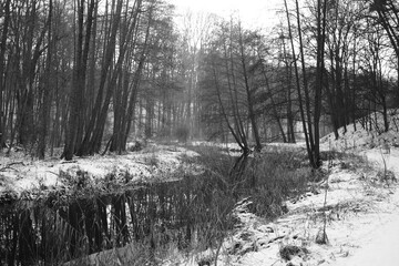 Lake reflection. Winter landscape during sunset. Trees covered with snow. Sun rays through the trees