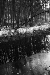 Lake reflection. Winter landscape during sunset. Trees covered with snow. Sun rays through the trees