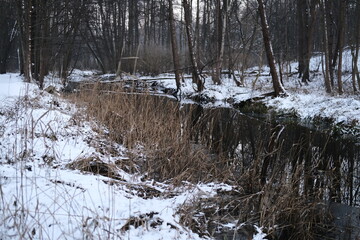 Lake reflection. Winter landscape during sunset. Trees covered with snow. Sun rays through the trees