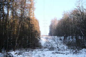 Winter landscape during sunset. Trees covered with snow. Sun rays through the trees