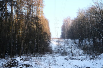 Winter landscape during sunset. Trees covered with snow. Sun rays through the trees