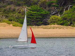 Puffin Pacer Sail Boat Along Beach