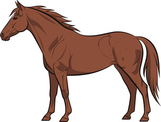 Flat vector illustration of a horse isolated on white background