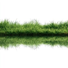 Lush green grass verge reflecting on water; white background, isolated