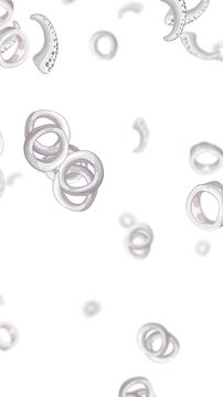 Looping Octopus Tentacle Rings Falling on White Background
