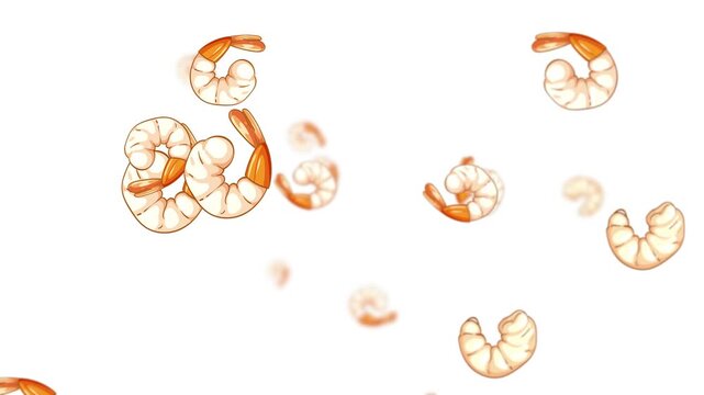 Looping Animation of Shrimp Pieces Falling on White Background