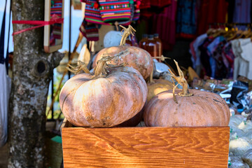 Pumpkins in wooden box