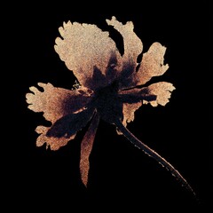 Naklejka premium Textured floral silhouette art