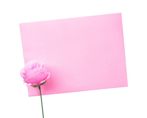 pink rose with blank card on white background isolated