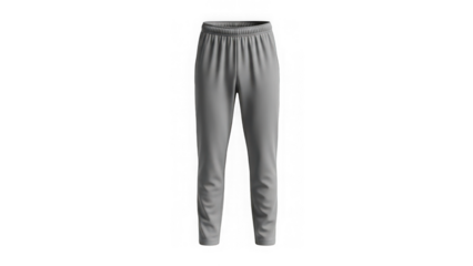 Gray sweatpants for men or women