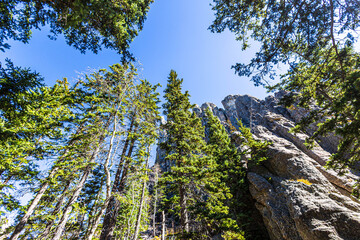 Obraz premium Beautiful autumn landscape seen from Cathedral Spires Trail at Custer State Park.