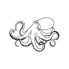 Hand-Drawn Vintage Style Vector Illustration of an Octopus, Isolated Black and White Sketch of a Marine Cephalopod with Winding Tentacles